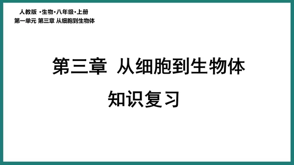 第一单元第三章从细胞到生物体（复习课件）-七年级生物上册同步教学精制课件（人教版2024）(共44张