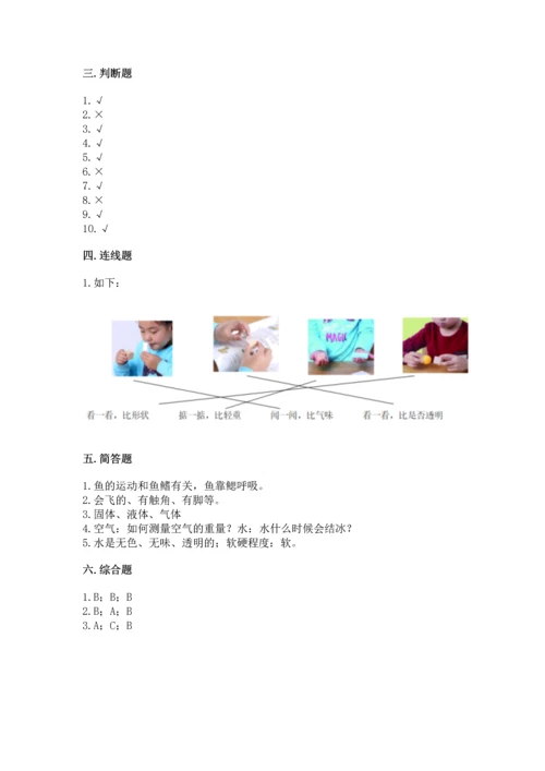 教科版一年级下册科学期末测试卷带答案（实用）.docx