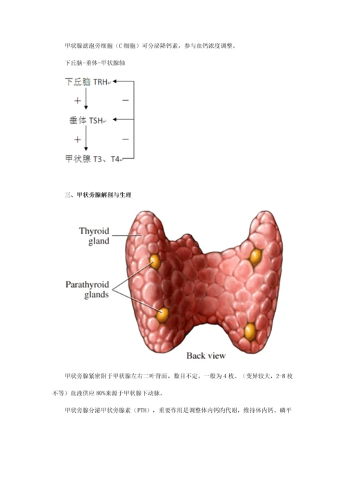 2023年执业医师最新最全考点解析系列内分泌部分甲状腺疾病.docx