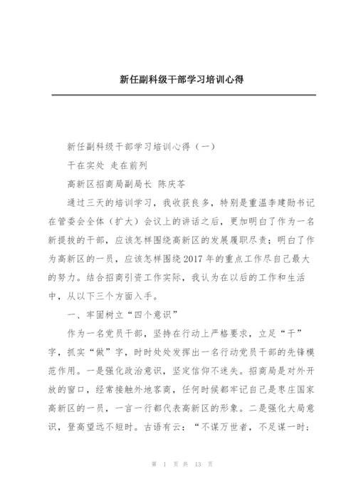 新任副科级干部学习培训心得.docx