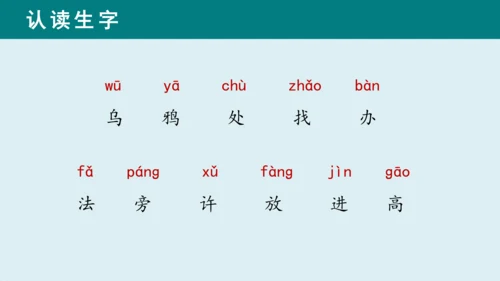 课文13《乌鸦喝水》课件