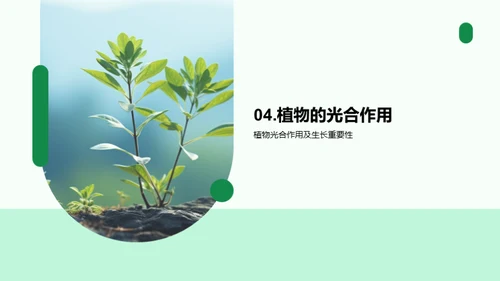 揭秘植物生长奥秘