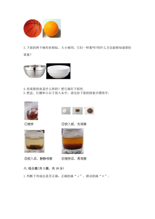 教科版一年级下册科学期末测试卷及参考答案【考试直接用】.docx
