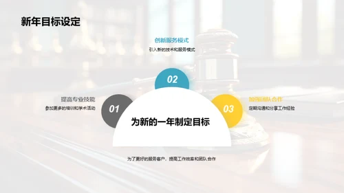 法律领域年度总结