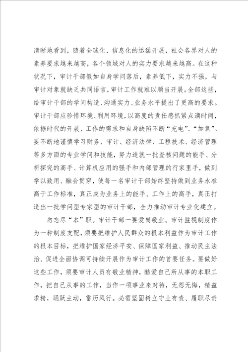 审计局第二批群众路线教育实践活动心得体会