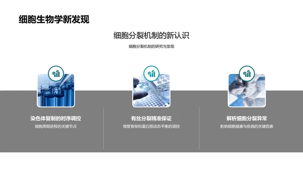 生物科研半年总结报告PPT模板