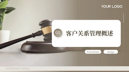 棕色客户关系管理与拓展工作总结