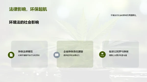 探索环境法之路