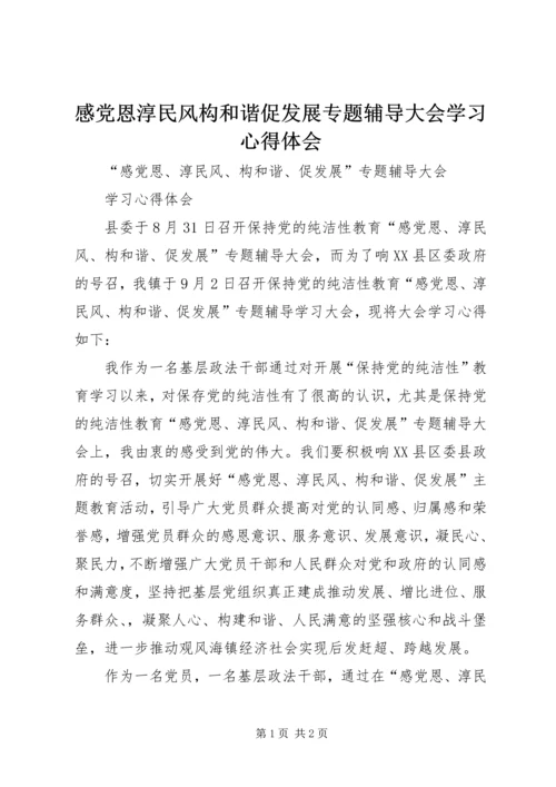 感党恩淳民风构和谐促发展专题辅导大会学习心得体会.docx