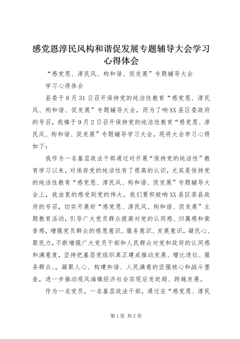 感党恩淳民风构和谐促发展专题辅导大会学习心得体会.docx