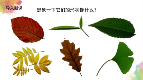 第十一课《拓印树叶真有趣》课件