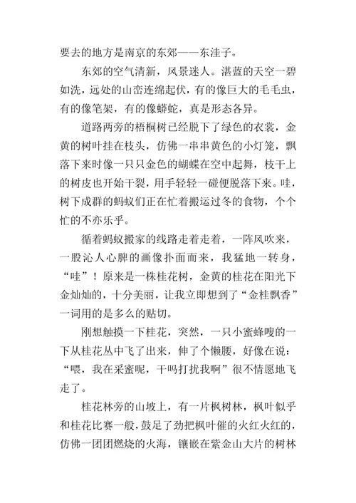 三年级郊游作文500字 东郊深呼吸