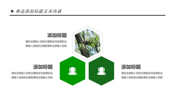 绿色唯美植物生长敬畏生命发芽PPT模板