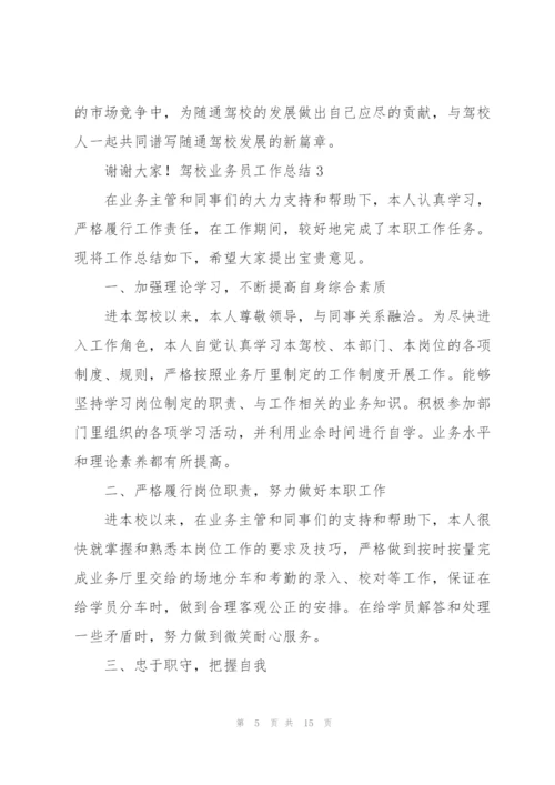 驾校业务员工作总结.docx