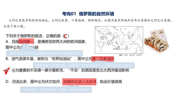 第七章 我们邻近的地区和国家（2）（串讲课件67张）-七年级地理下学期期末考点大串讲（人教版）