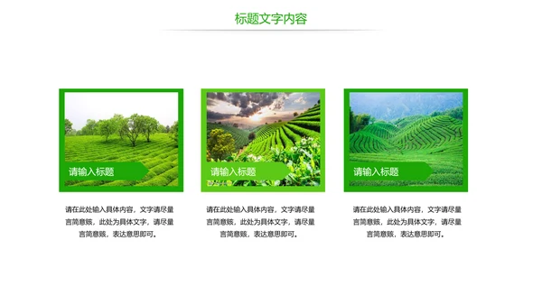 唯美绿色茶园文化茶艺品茶论道动态PPT模板