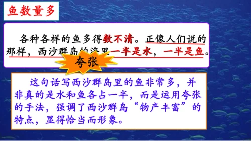 第18课《富饶的西沙群岛》课件
