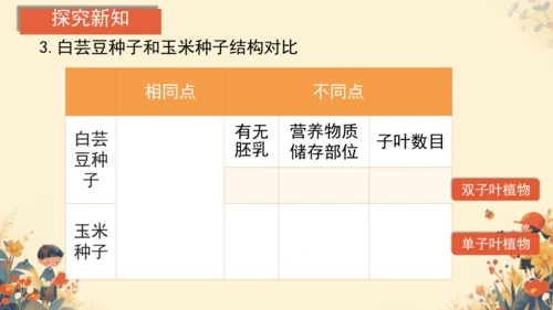 人教版（2024）七年级上册2.1.2种子植物(共20张PPT)+视频素材