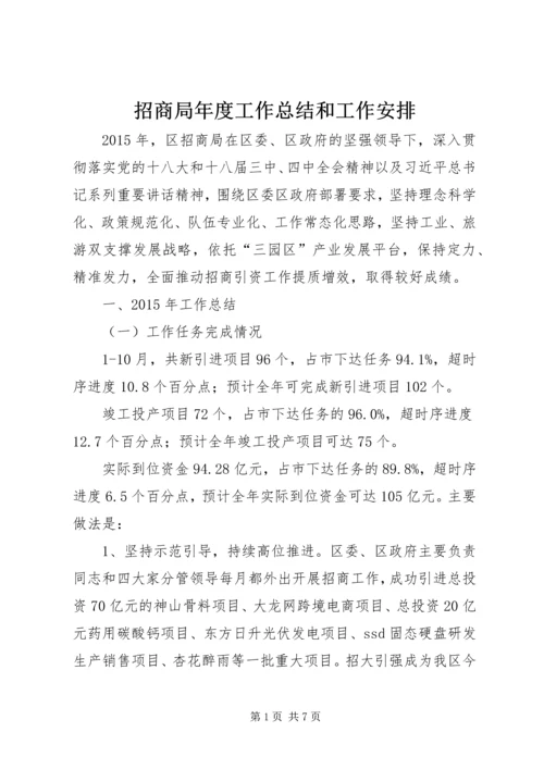 招商局年度工作总结和工作安排.docx