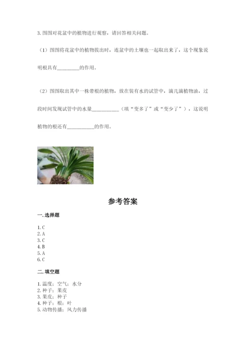 教科版四年级下册科学第一单元《植物的生长变化》测试卷及答案【夺冠】.docx