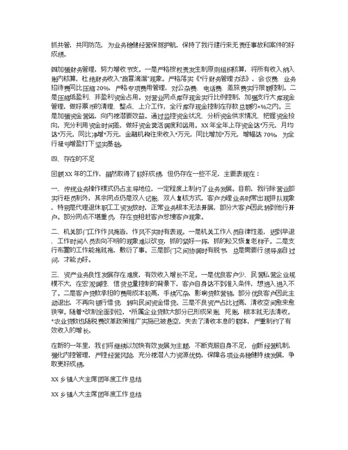 xx年度工作总结（乡镇）