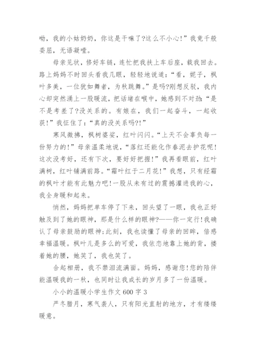 小小的温暖小学生作文600字范文.docx