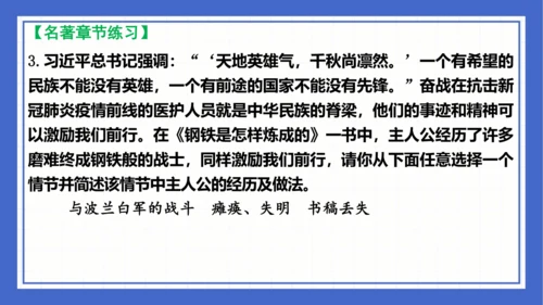 名著导读《钢铁是怎样炼成的》复习课件-2023-2024学年统编版语文八年级下册(共63张PPT)