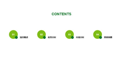 绿色简约工作总结PPT案例