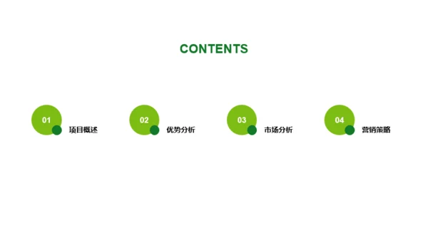 绿色简约工作总结PPT案例