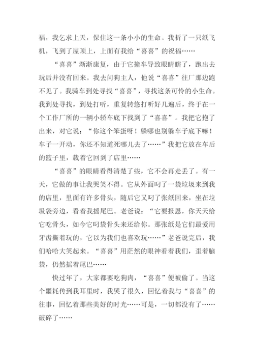 小动物的故事作文-1.docx