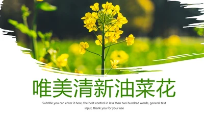 春天乡村旅游油菜花风景油菜花田PPT模板