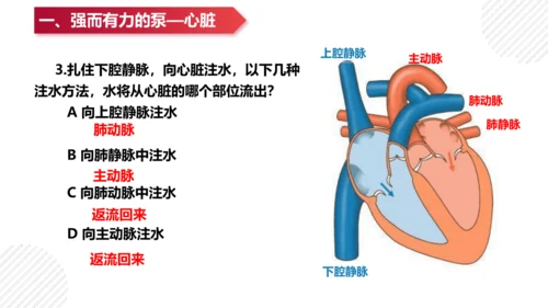 七年级下册4.4人体内物质的运输（复习课件）(共27张PPT)