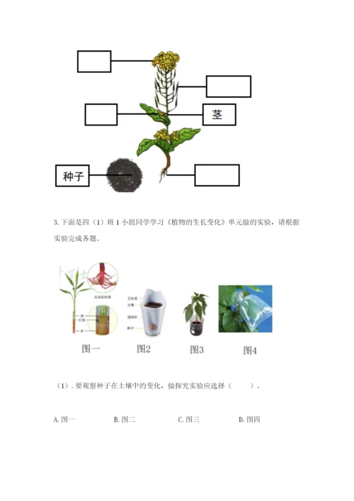 教科版科学四年级下册第一单元《植物的生长变化》测试卷精品（精选题）.docx