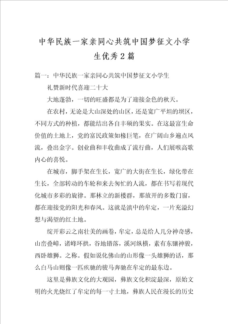 中华民族一家亲同心共筑中国梦征文小学生优秀2篇