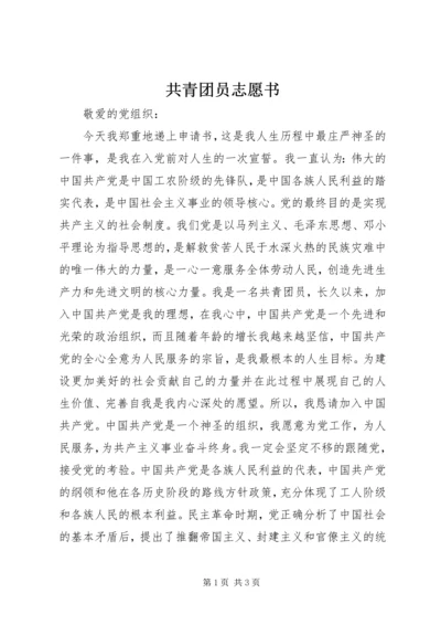 共青团员志愿书 (3).docx