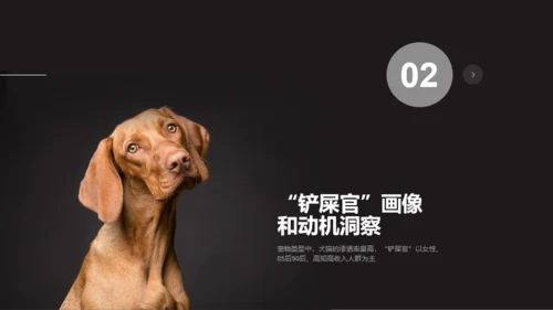 2021年宠物专题研究报告