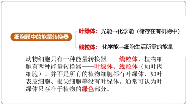 【2023秋人教七上生物期中复习考点梳理串讲+临考押题】第一章 细胞是生命活动的基本单位（串讲课件）