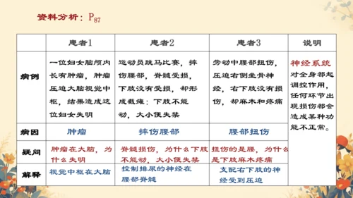 人教版（新课程标准）七年级下册4.6.2  神经系统的组成课件(共20张PPT)