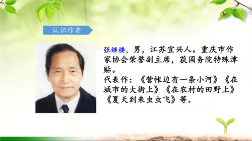 18《童年的水墨画》课件