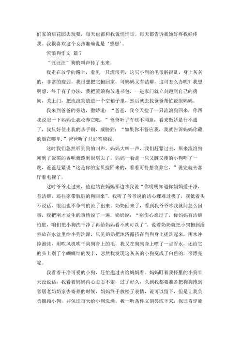 流浪狗作文锦集7篇.docx