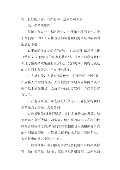 试用期总结及转正申请