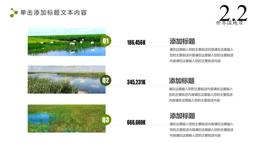 清新简约世界湿地森林日绿色环保PPT模板