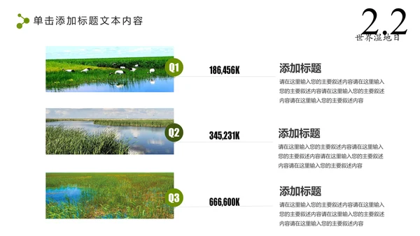 清新简约世界湿地森林日绿色环保PPT模板