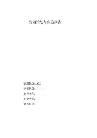 手机营销策划与实施报告
