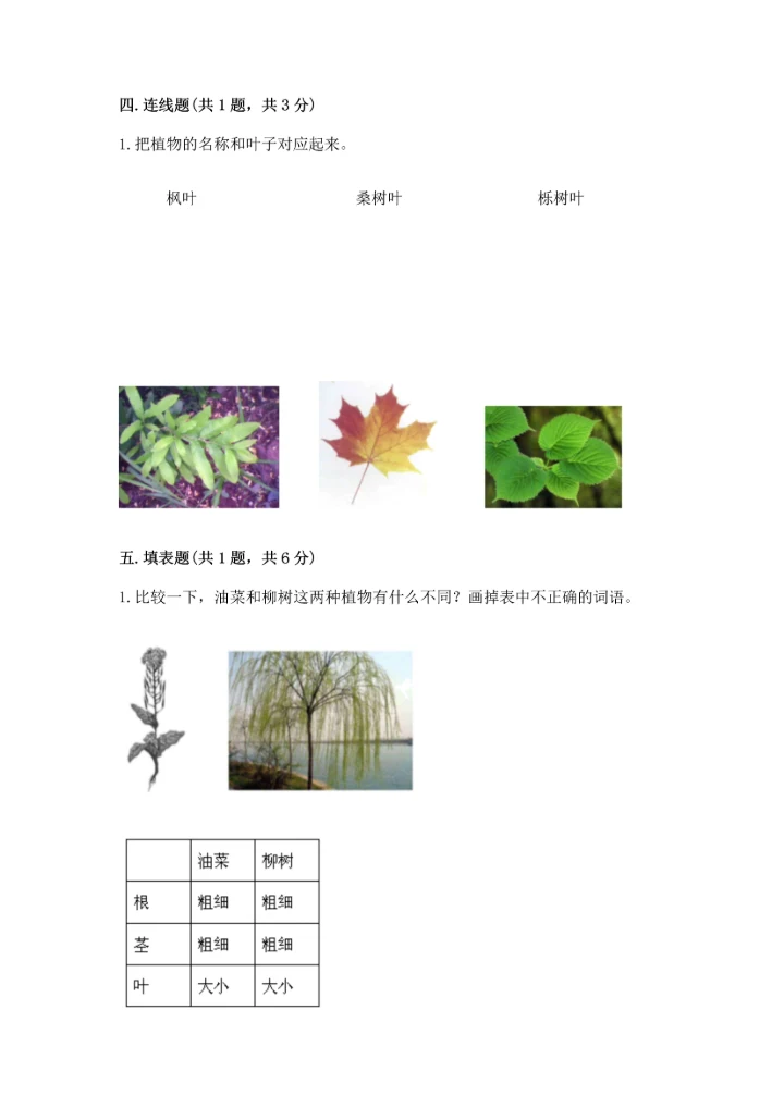教科版一年级上册科学期末测试卷【有一套】.docx