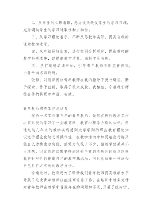 青年教师培养工作总结.docx