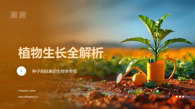 植物生长全解析PPT模板