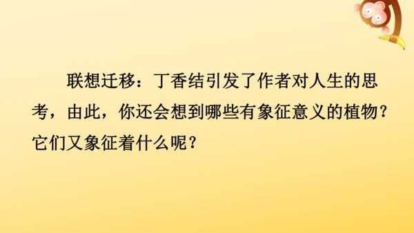 2 丁香结  课件
