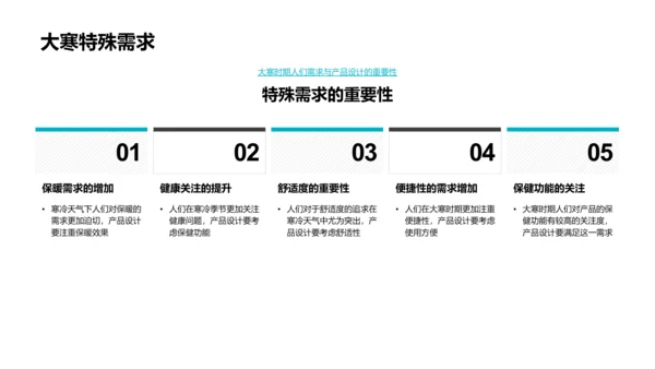 大寒节气产品设计PPT模板