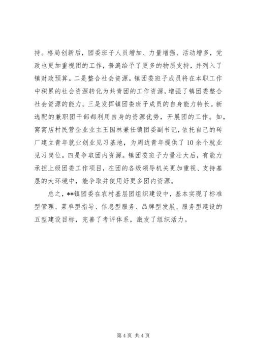 基层团组织建设自查报告 (4).docx